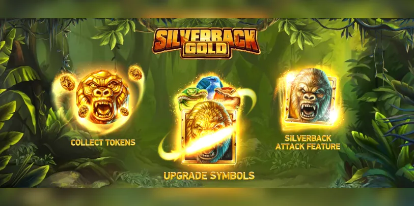 Silverback Gold Features banner