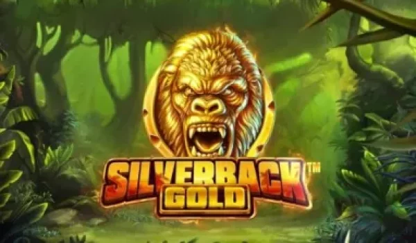 silverback gold Thumbnail